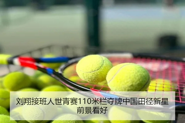 刘翔接班人世青赛110米栏夺牌中国田径新星前景看好