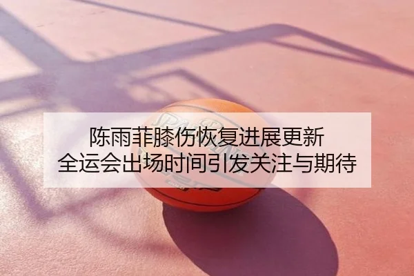 陈雨菲膝伤恢复进展更新 全运会出场时间引发关注与期待